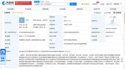 斑马智行成立智能操作系统公司，加速软件外包服务布局