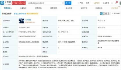 吉利旗下路特斯与雷诺携手 合作研发电动跑车及软件外包服务的新篇章