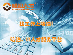 厦门哈泊软件外包服务评测 优势与挑战